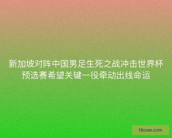 新加坡对阵中国男足生死之战冲击世界杯预选赛希望关键一役牵动出线命运