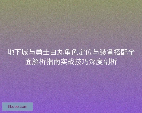 地下城与勇士白丸角色定位与装备搭配全面解析指南实战技巧深度剖析