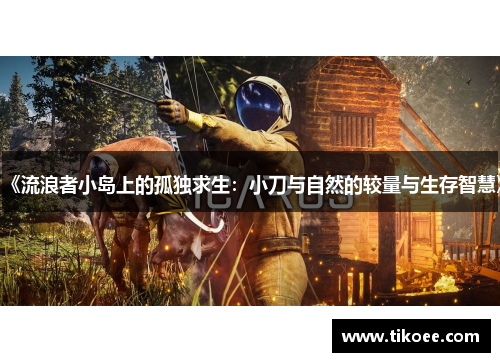 《流浪者小岛上的孤独求生：小刀与自然的较量与生存智慧》