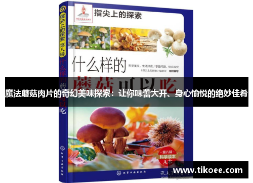 魔法蘑菇肉片的奇幻美味探索：让你味蕾大开、身心愉悦的绝妙佳肴